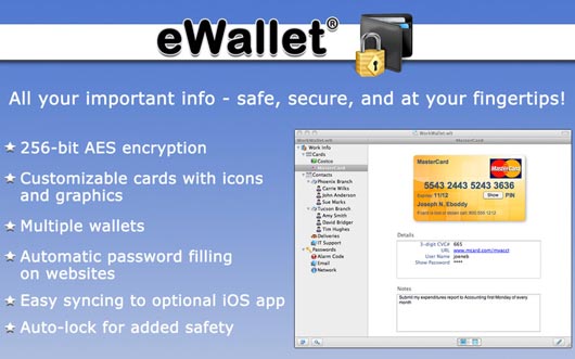 Ewallet Desktop Download